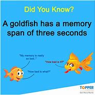 Image result for Facts About Memory