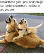 Image result for Cute Best Friend Memes