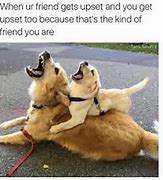 Image result for Boy Best Friend Memes