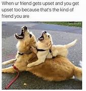 Image result for Funny Memes About Best Friends