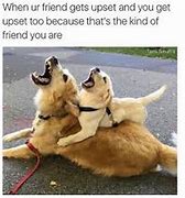 Image result for Friend Group Memes