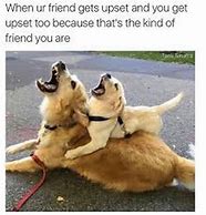 Image result for Funny Memes Friend Love