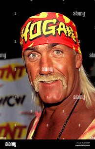 Image result for Hogan WCW