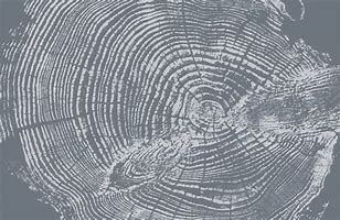 Image result for Wood Grain Art