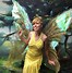Image result for Gold Fairy Wings