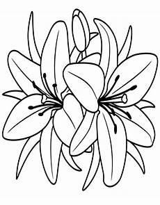 disegno fiori immagini di fiori da stare disegno fiori immagini di fiori da stare