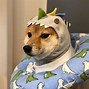 Image result for Shba Inu Meme