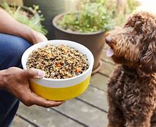 Image result for Fresh Pet Food