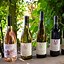 Image result for Montinore Estate Pinot Gris