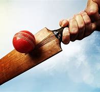 Image result for Wooden Cricket Bat