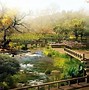 Image result for Picture Nature Japanese
