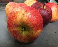 Image result for Little Apple