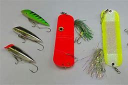 Image result for Salmon Fishing Tackle