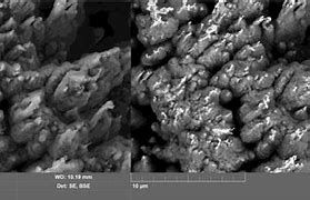Image result for Lithium Carbonate SEM Image