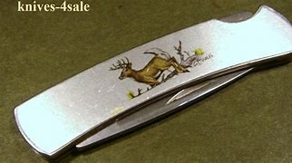 Image result for Buck 525A4 Whitetail Deer Knife
