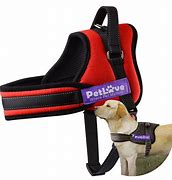 Image result for Dog Harness and Leash