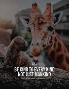 Image result for Animal Care Quotes Horses