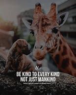 Image result for Funny Inspirational Quotes with Animals