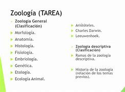Image result for co_to_znaczy_zoologia