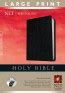 Image result for NLT Bible Large Print for Women
