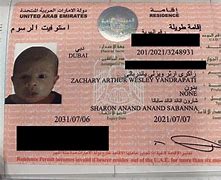 Image result for Golden Visa of UAE