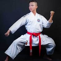 Image result for Sport Karate GI