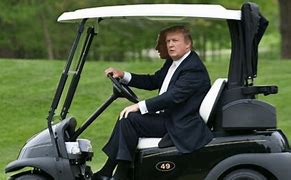 Image result for Paid Trump