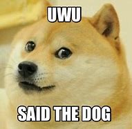 Image result for Uwu Dog Meme