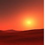 Image result for Mojave Desert Cactus Sunset