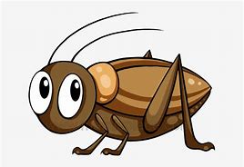 Image result for Cricket Bug Illustration