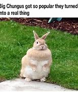 Image result for big chungus memes