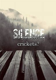 Image result for I Hear Crickets