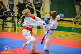 Image result for Martial Arts