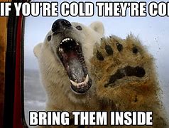 Image result for If You're Cold Meme
