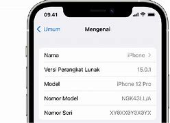Image result for iPhone 6s Imei