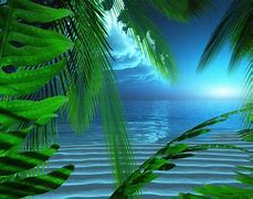 Image result for Beautiful Free Popular Screensaver