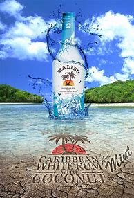 Image result for Malibu Coconut Rum