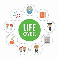 Image result for Life Cycle Symbol