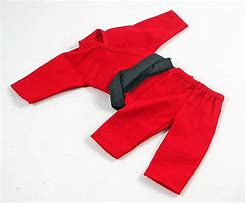 Image result for Short Sleeve Karate Gi
