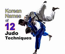 Image result for Common Judo Throws
