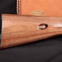 Image result for Browning SA-22 Case