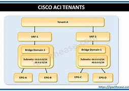 Image result for Tanent in Cisco ACI