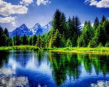 Image result for Tranquil