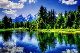 Image result for nature