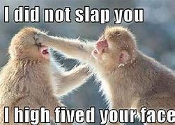 Image result for Group High Five Funny