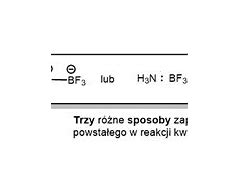 Image result for co_to_znaczy_zasada_lewisa