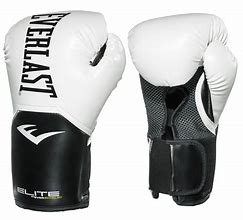 Image result for Everlast 10 oz Boxing Gloves
