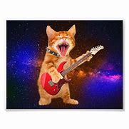 Image result for Cat Rock Star