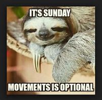 Image result for Good Morning Lazy Sunday