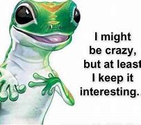 Image result for GEICO Funny Quotes